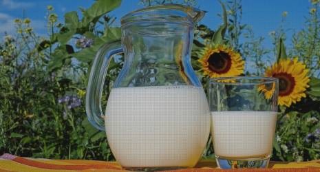 ¿Cuál es la leche más adecuada para bebés con alergia a la proteína de la leche de vaca?