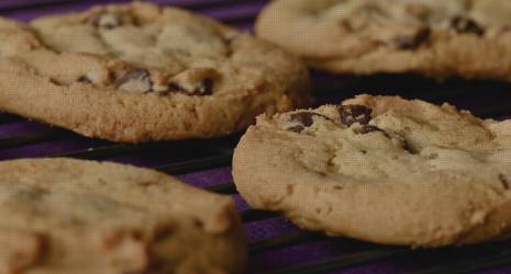 Las mejores opciones de snacks sin azúcar para bebés